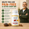 Yakrito Amrit Ayurvedic Powder for Liver Health and Wellness