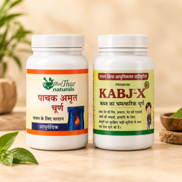 Ayurvedic Digestive Combo Pack - Pachak Amrit Kabj-X